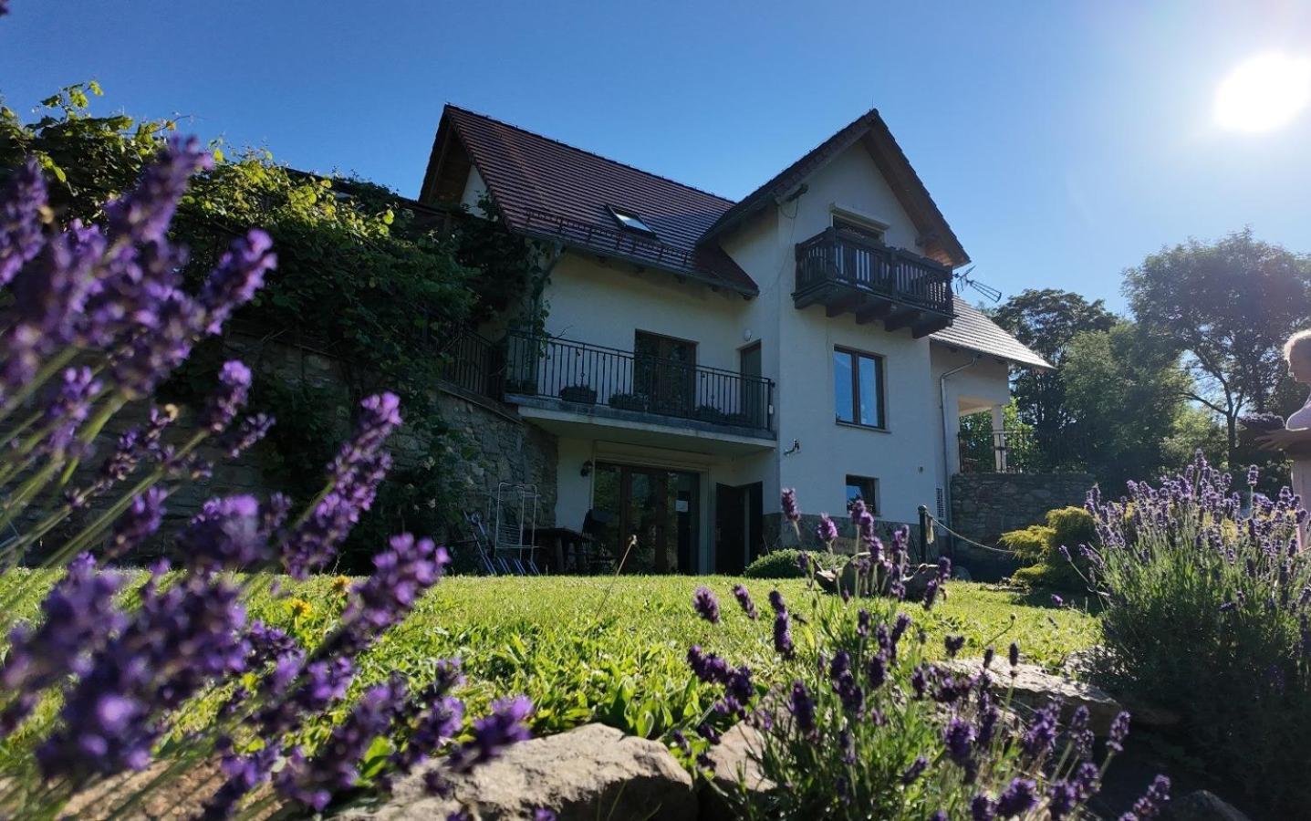 Apartamento Strefa Ciszy -Lawenda Świeradów-Zdrój Exterior foto