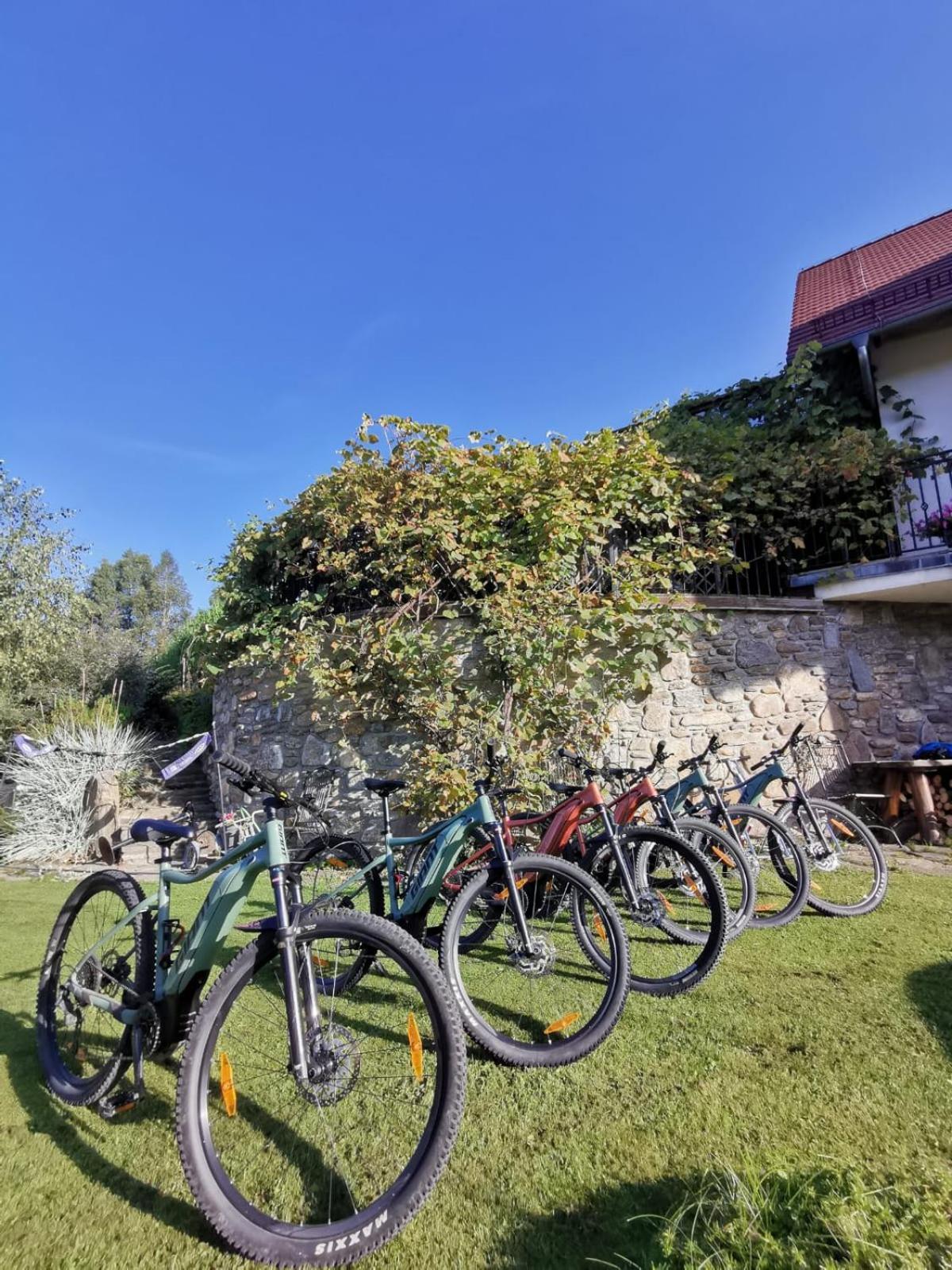 Apartamento Strefa Ciszy -Lawenda Świeradów-Zdrój Exterior foto